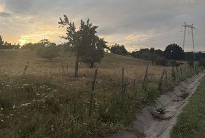 Teren de 3000 mp, în Bumbești-Pițic
