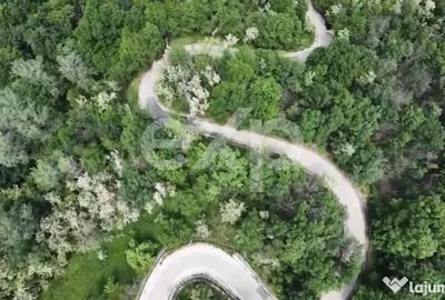 Teren în Drăganu - 4