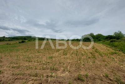 Teren agricol extravilan de 10000 mp, în Șura Mare - 2