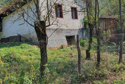 Casă cu 3 camere în Lugoj - 1