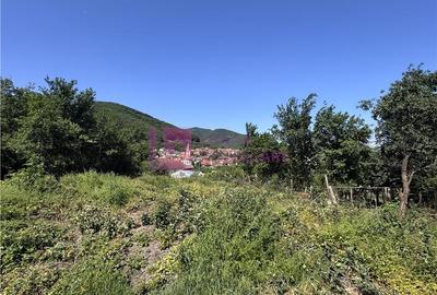 Teren Construcții intravilan de 1730 mp, în Poplaca - 3
