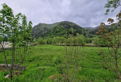 Teren Construcții intravilan de 1775 mp, în Sătic - 7