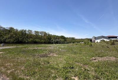 Teren Construcții intravilan de 7500 mp, în Brănești - 3