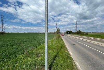 Teren Construcții intravilan de 9300 mp, în Exterior Nord - 3