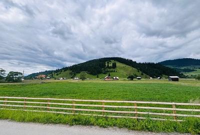 Teren de 5000 mp, în Dorna-Arini