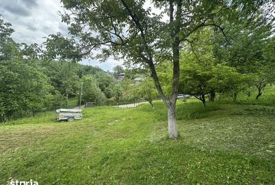 Teren de 2400 mp, în Telega - 6