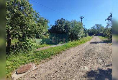 Teren Construcții intravilan de 72000 mp, în Topa Mică - 6