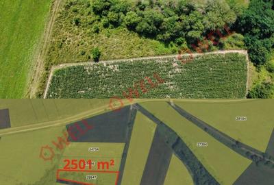 Teren agricol extravilan de 63100 mp, în Măgheruș - 2