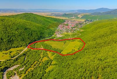Teren Construcții intravilan de 128000 mp, în Gârcini - 3