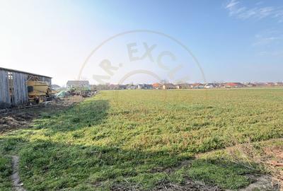 Casă individuală cu 4 camere cu Teren 2948 Mp în Central - 9