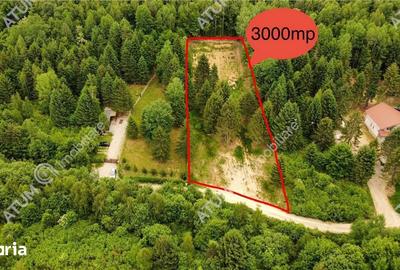 Teren de 3000 mp, în Porumbacu de Jos - 3