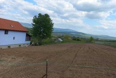 Teren de 1000 mp, în Budacu de Jos