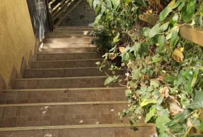 Casă cu 5 camere cu Teren 267 Mp în Pieptănari - 3