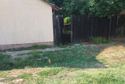 Casă cu 4 camere cu Teren 500 Mp în 6 Vânători - 3
