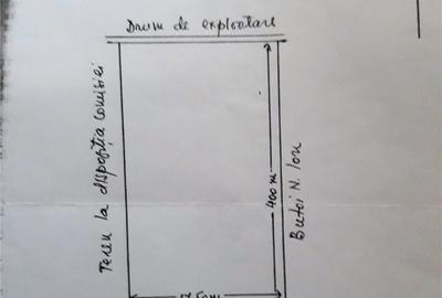 Teren de 7000 mp, în Gruiu - 3