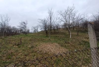 Casă individuală cu 2 camere cu Teren 3000 Mp în Tibru - 4