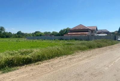 Teren de 600 mp, în Dascălu