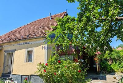 Casă cu 3 camere cu Teren 678 Mp în Ghelari - 4
