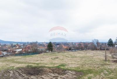 Teren Construcții intravilan de 9979 mp, în Crizbav - 1