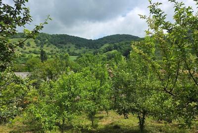 Casă cu 2 camere în Șalcău - 3