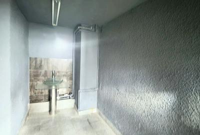 Spațiu comercial, de 190 mp, în Tătărași