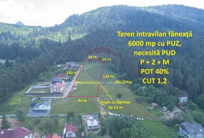 Teren Construcții intravilan de 6000 mp, în Poiana Angelescu - 10