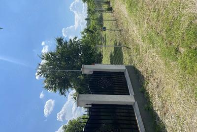 Teren de 700 mp, în Narcisa - 2