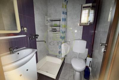 Apartament cu 4 camere decomandat, mobilat în Brazda lui Novac - 11