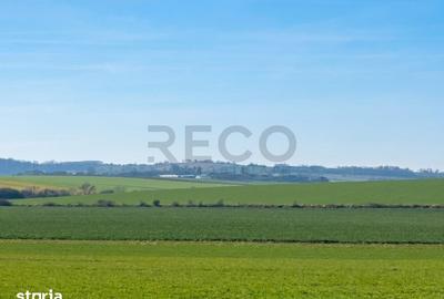Teren de 42050 mp, în Tăut - 4