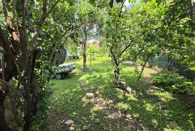 Apartament cu 4 camere decomandat în Sub Arini - 15