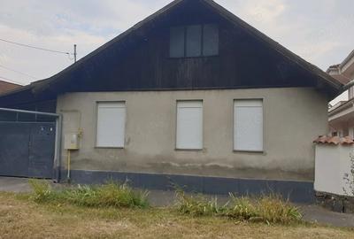 Casă cu Teren 460 Mp în Mehala - 1