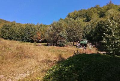 Teren de 4100 mp, în Central
