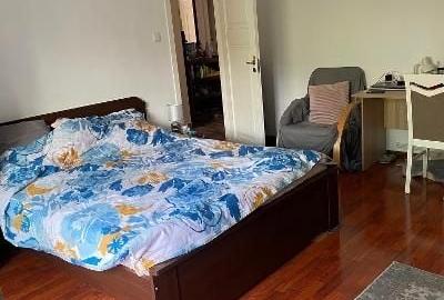 Apartament cu 3 camere decomandat în Dosu Bricii - 3