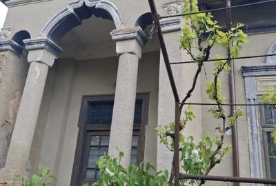 Casă individuală cu 3 camere cu Teren 3149 Mp în Bucinișu - 1