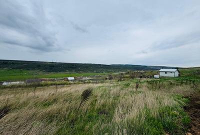Teren Construcții de 750 mp, în Copou - 3