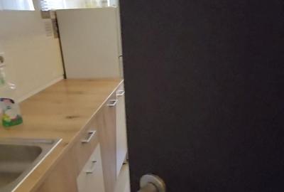 Apartament cu 2 camere decomandat în Dobroești - 8