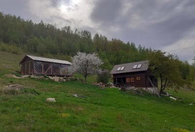 Casă în Plopi - 5