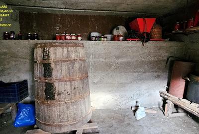 Casă cu 2 camere cu Teren 6000 Mp în Central - 6