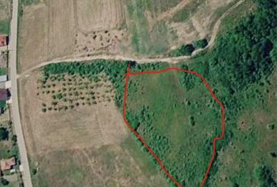 Teren de 11000 mp, în Central