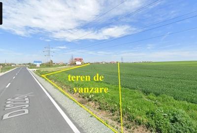 Teren de 6600 mp, în Corbu