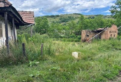 Casă cu Teren 800 Mp în Buza Cătun - 3