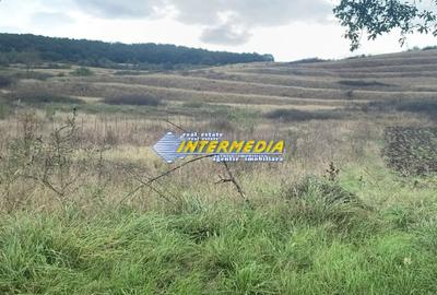 Teren Construcții intravilan de 1248 mp, în Teleac - 4