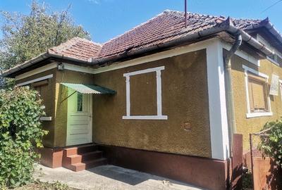 Casă cu Teren 2300 Mp în Doba