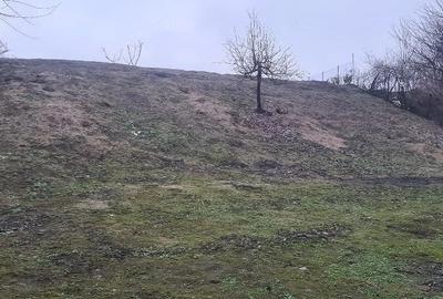Teren de 1600 mp, în Islaz - 4