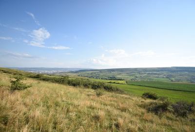 Teren agricol extravilan de 16800 mp, în Chinteni - 7