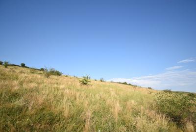 Teren agricol extravilan de 16800 mp, în Chinteni - 5