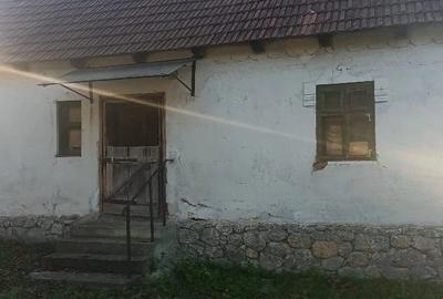 Casă cu Teren 7000 Mp în Fâșca - 3