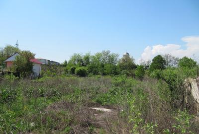 Teren Construcții intravilan de 3333 mp, în Mioriței - 1