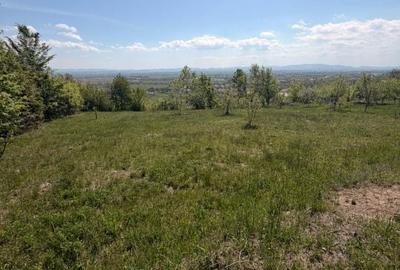 Teren de 1400 mp, în Fărcașa - 10