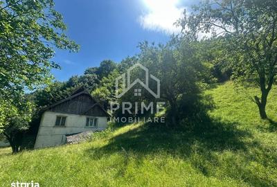 Casă cu 3 camere cu Teren 25000 Mp în Central - 3
